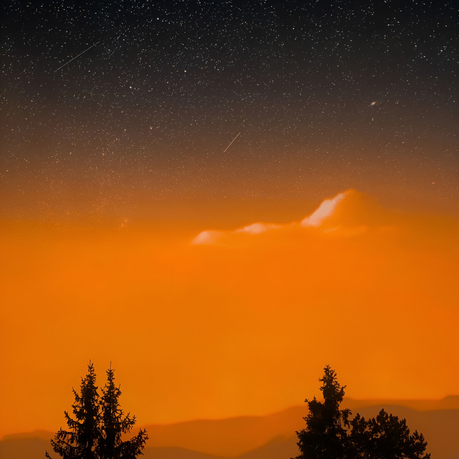 Download Nightscape, Starry Sky, Forest Silhouette, Landscape Photography 2K iPhone