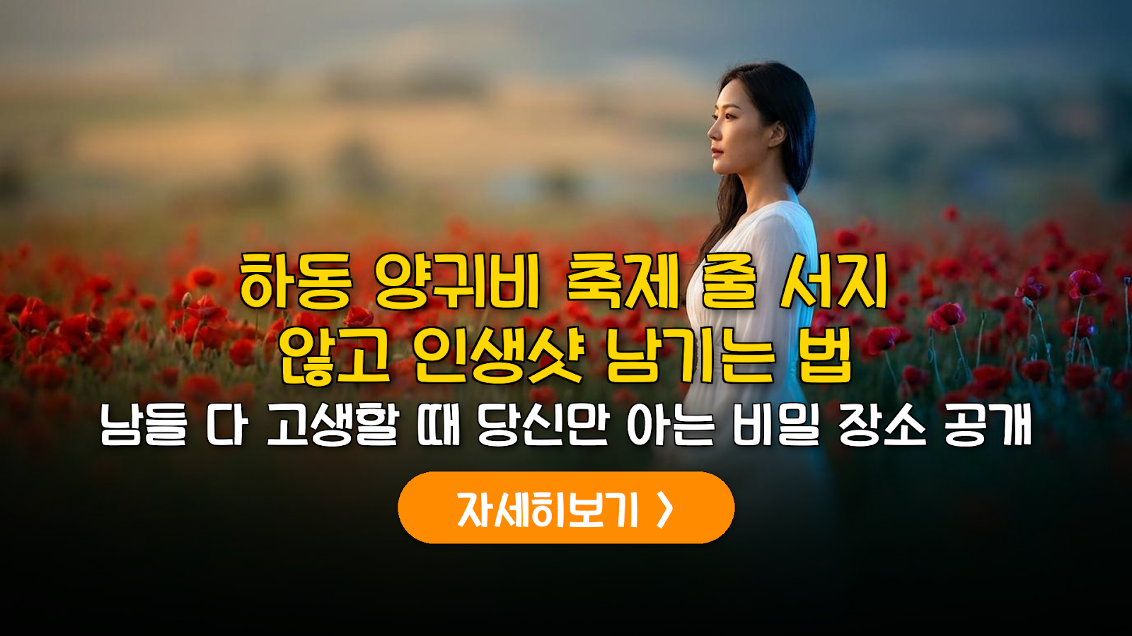 하동 북천 양귀비 축제 주차 꿀팁 및 데이터 기반 관람법
