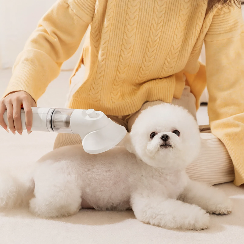 Hairbrush with vacuum function for small dogs