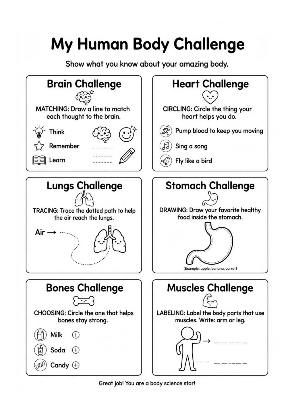 My Human Body Challenge