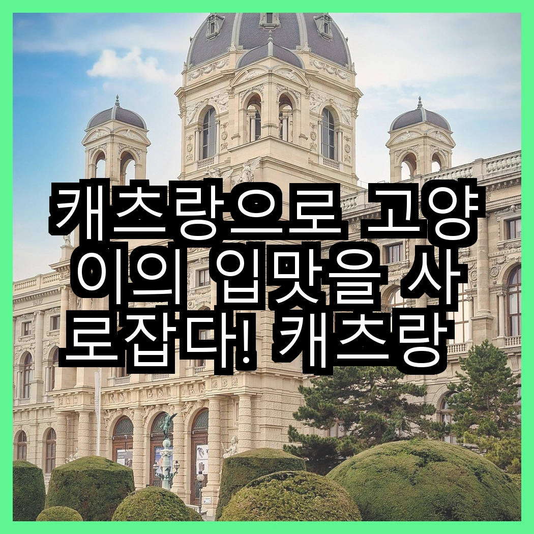 캐츠랑으로 고양이의 입맛을 사로잡다! 캐츠랑 리브레5kg vs 캐츠랑 NEW 건식사료, 어떤 선택이 최선일까? 썸네일