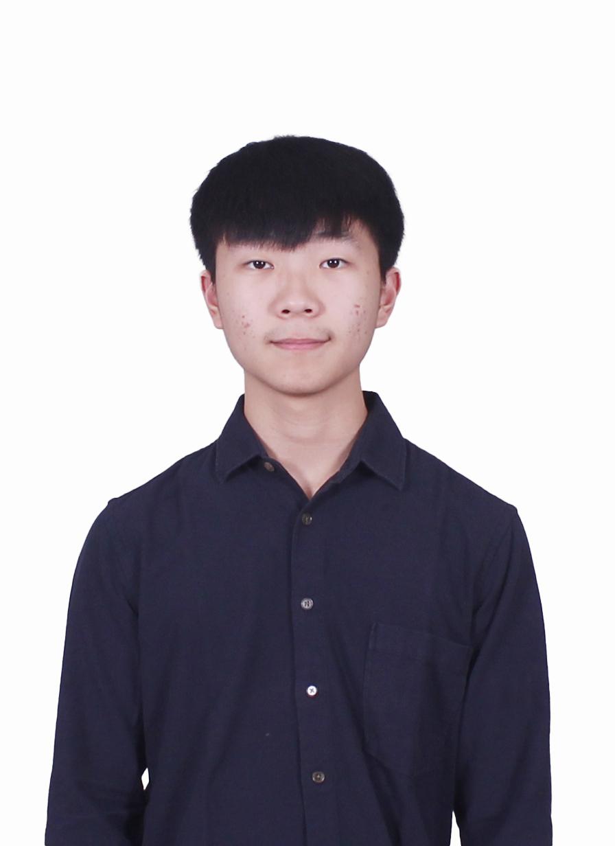 Thesen Wijaya