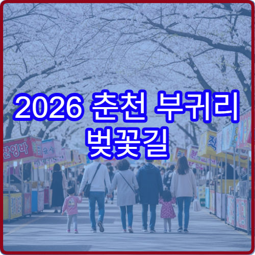 2026 춘천 부귀리 벚꽃길 정확한 만개 일정과 주차 가이드