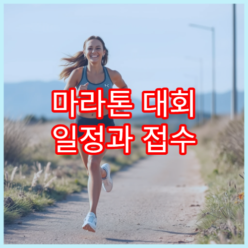 마라톤 대회 일정과 접수 정보 초보자 가이드