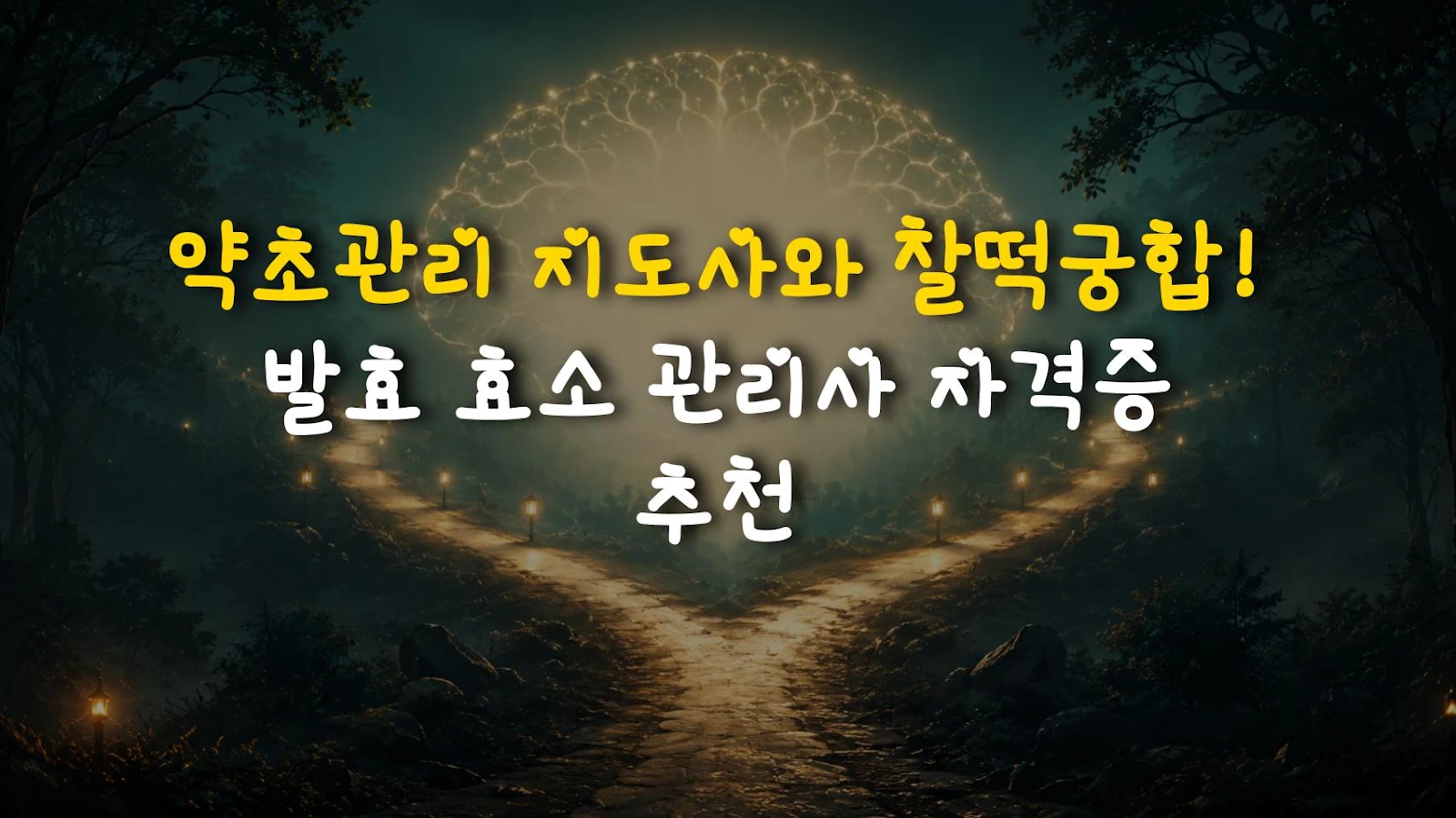 약초관리 지도사와 찰떡궁합! 발효 효소 관리사 자격증 추천