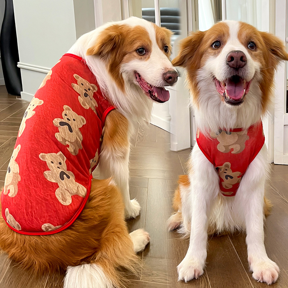 Summer Back Top for Dogs and Cats