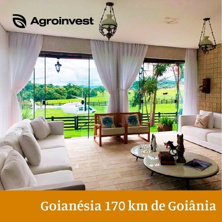 Fazenda em Goianésia-GO 7