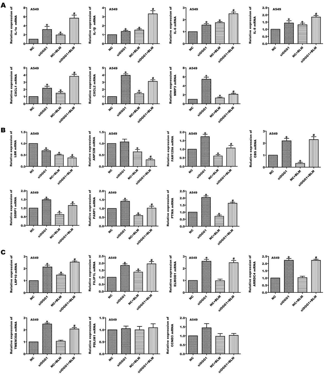 8-Oxoguanine DNA glycosylase protects cells from senescence via the p53-p21 pathway