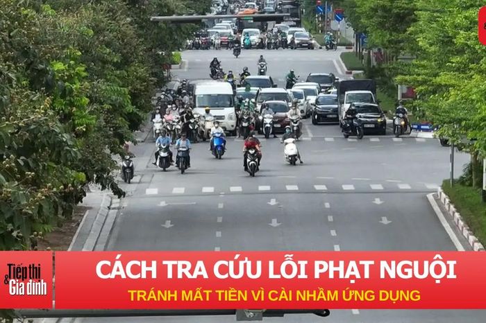 Cách tra cứu lỗi phạt nguội giao thông, tránh mất tiền vì cài nhầm ứng dụng - Tiếp thị &amp; Gia đình