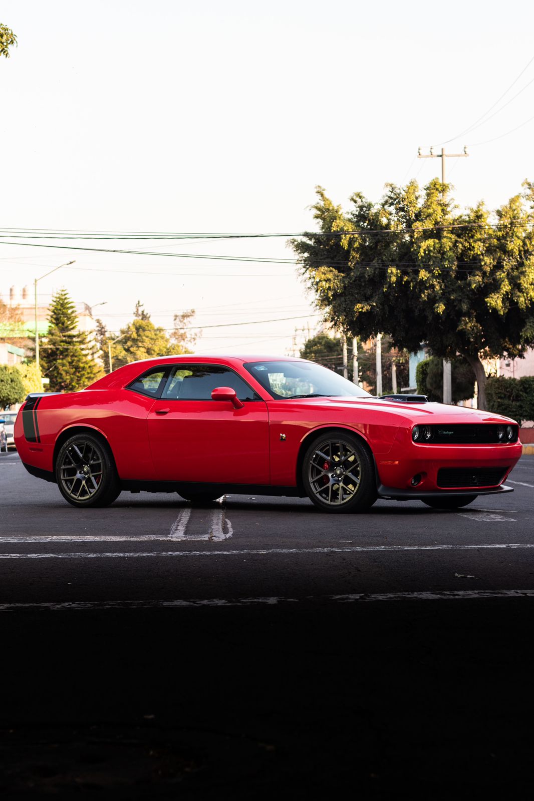 Dodge Challenger · PPF 6