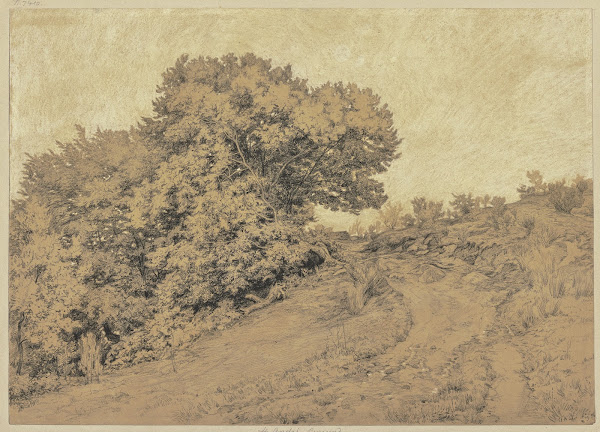 Hohlweg in Burgund mit Baumwerk zur linken Seite 1856
