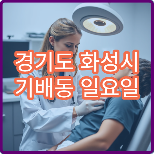 경기도 화성시 기배동 일요일 정형외과 병원 안내 주말 정형외과 안내