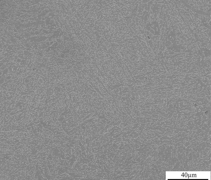 Effect of Si content and tempering temperature on microstructure and precipitation behavior of graphite particles in Fe–0.58C–1.0Al steel