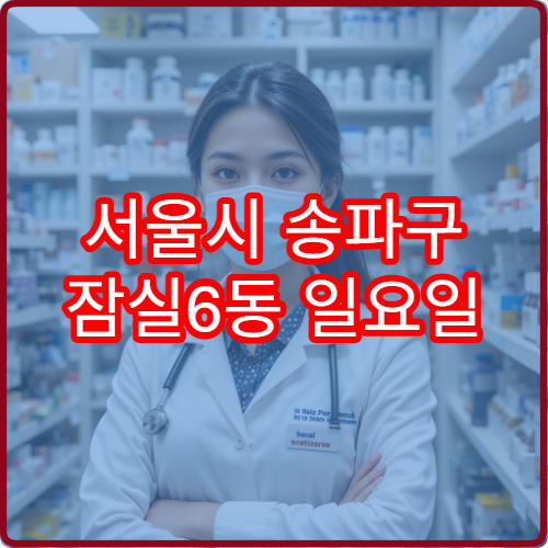 서울시 송파구 잠실6동 일요일 당번약국 주말 운영 약국 확인 방법