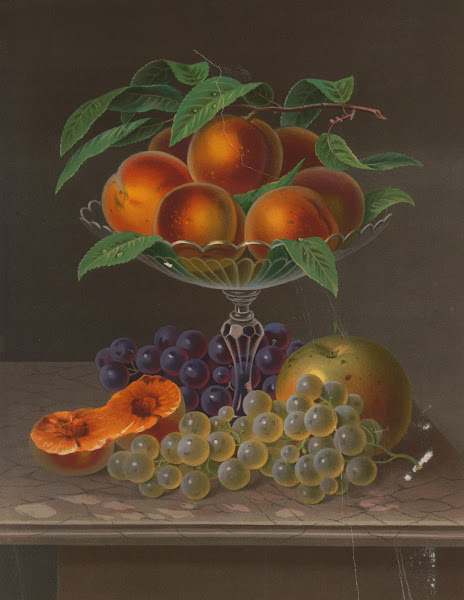 Fruit no 1