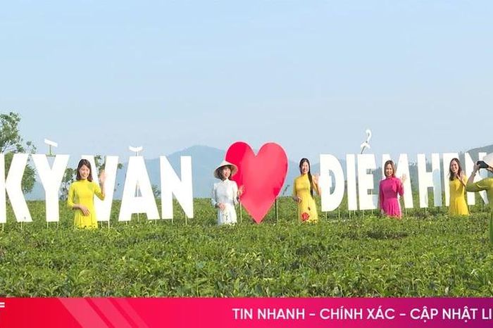Trải nghiệm thú vị tại đồi chè Kỳ Văn - Báo Hà Tĩnh