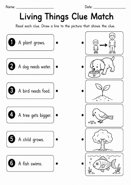 Living Things Clue Match