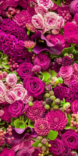 Roses, Dahlias, Calla Lillies, Magenta 2K iPhone Wallpaper Background