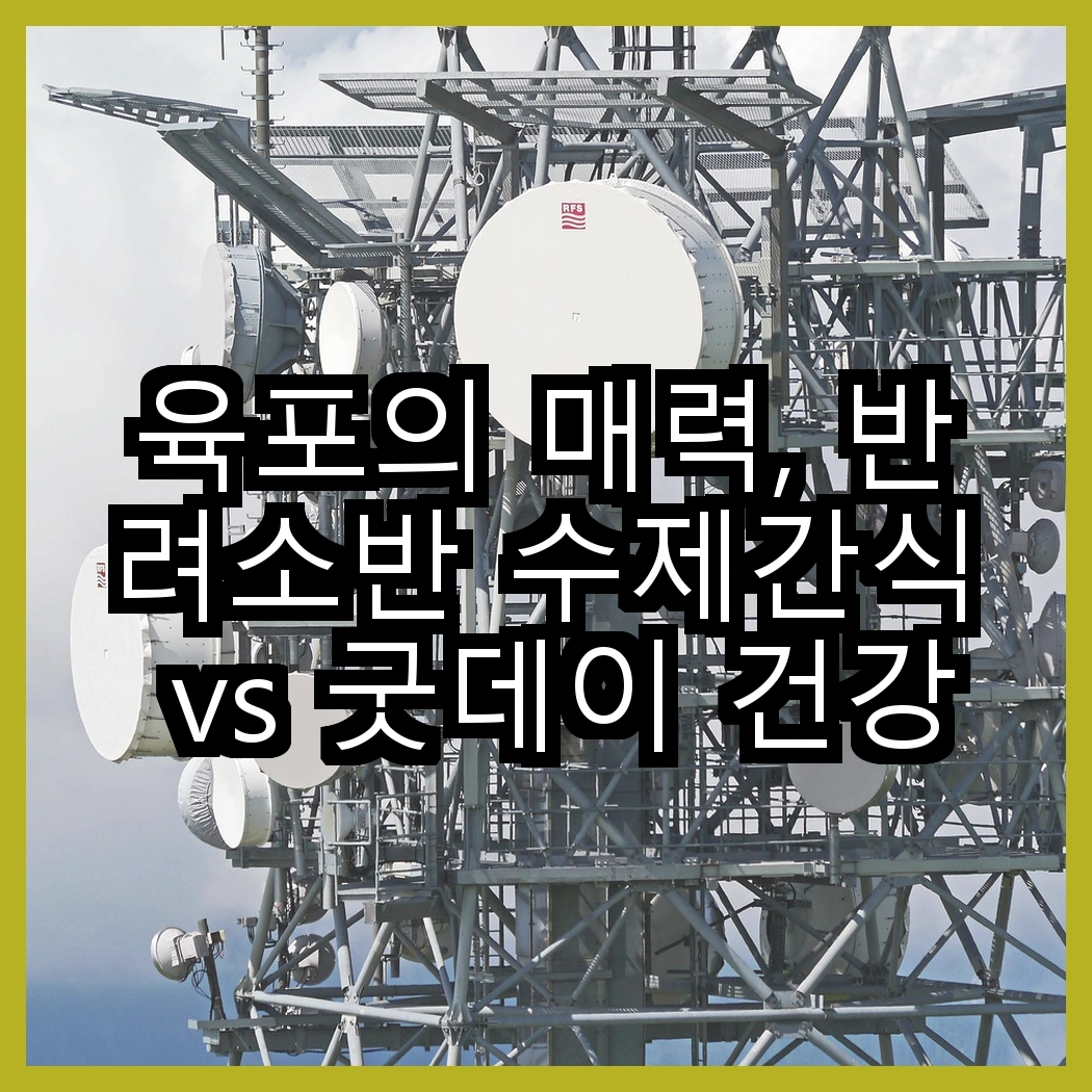 육포의 매력, 반려소반 수제간식 vs 굿데이 건강한 육포, 어떤 선택이 더 좋을까? 썸네일