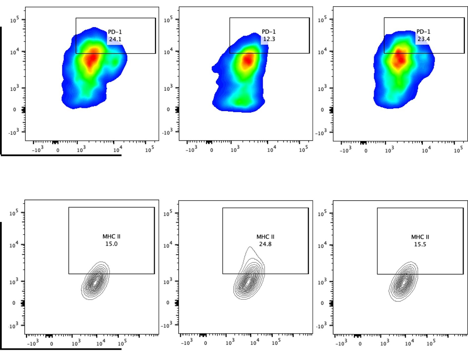 cGAS-STING pathway reprograms macrophage polarization and is highly expressed in responding tumors after neoadjuvant immunotherapy in head and neck carcinoma