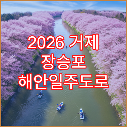 2026 거제 장승포 해안일주도로 벚꽃 드라이브 완벽 코스와 주차