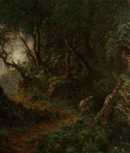 Tropical Greenery Tropical Landscape 1875