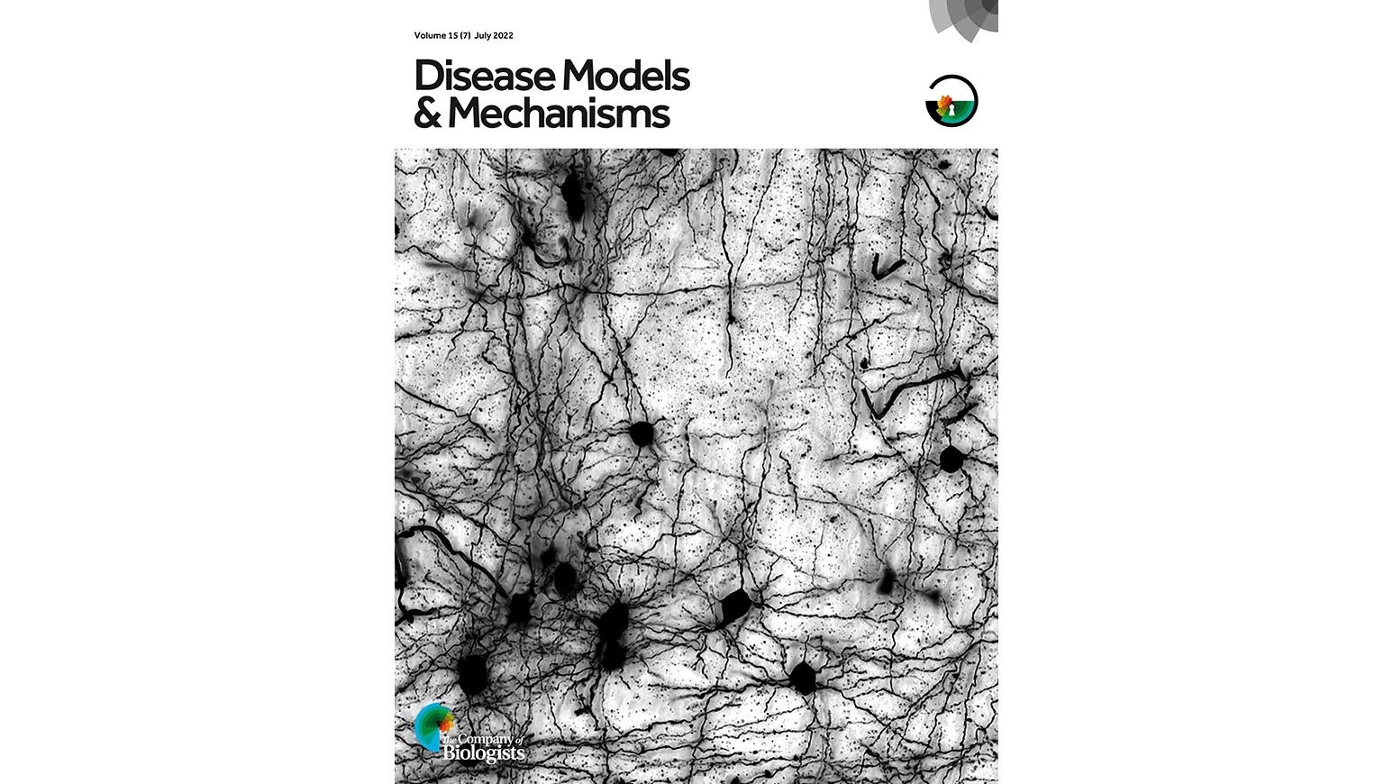 Disease Models and Mechanism Journal cover July 2022