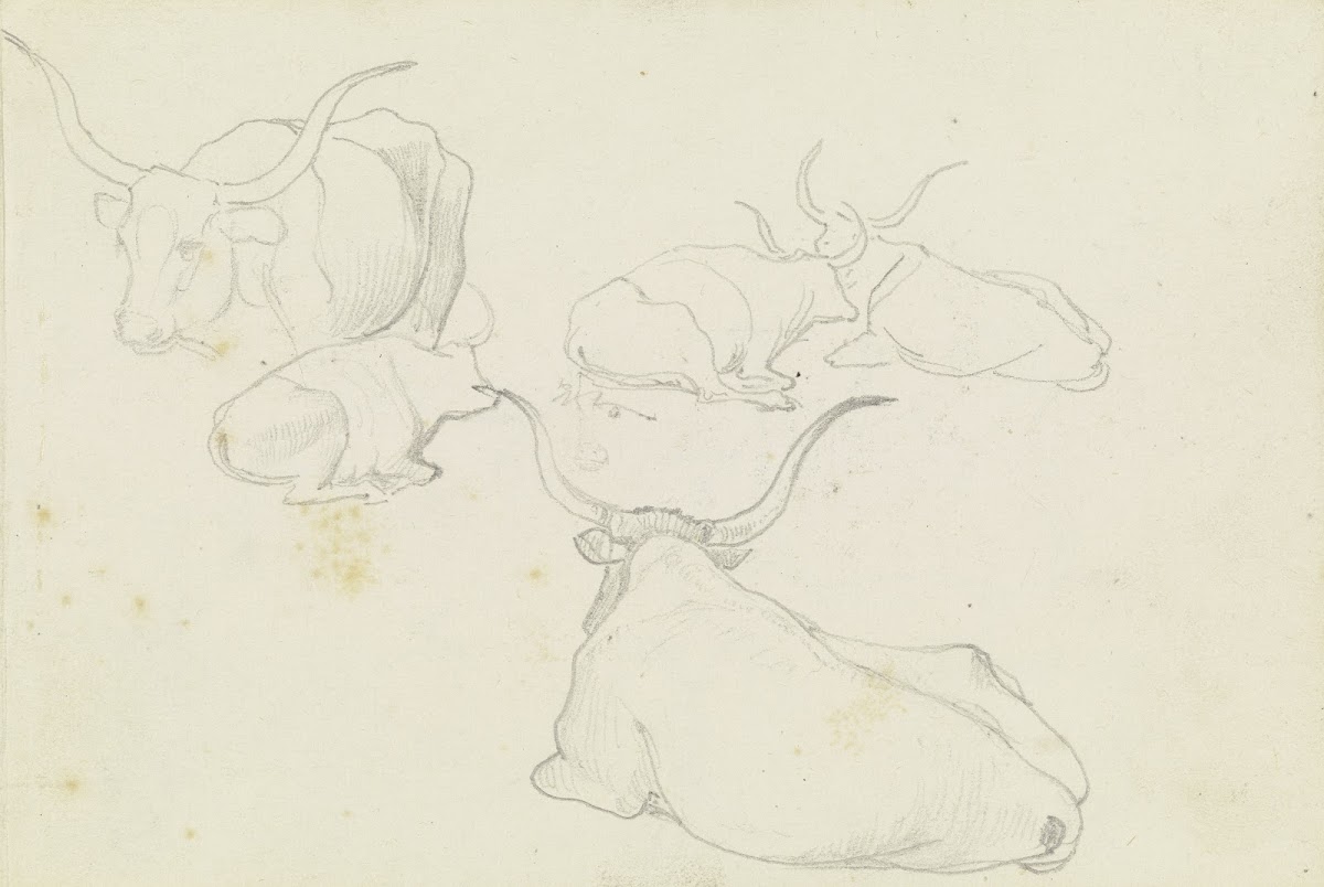 Resting cattle 1830