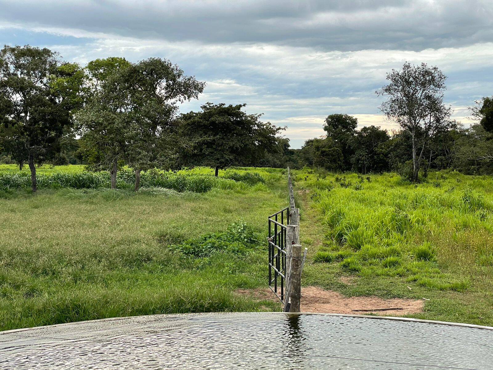 Fazenda em Cocalinho - MT 4