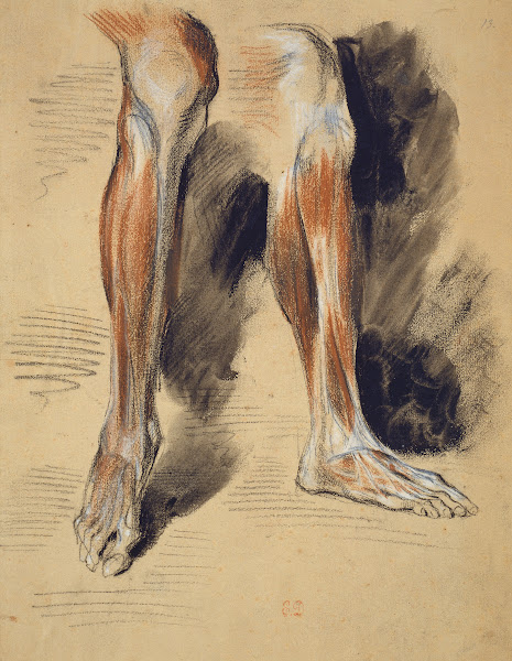 Studies of a right Leg ca 1835  1849
