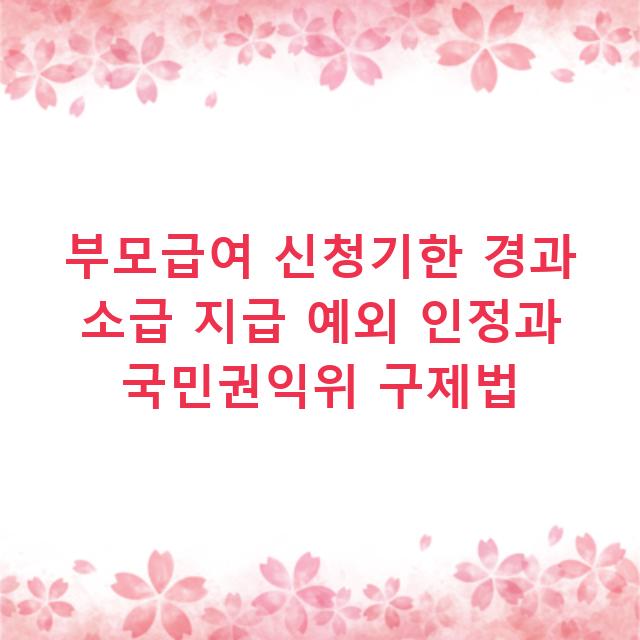 부모급여 신청기한 경과 소급 지급 예외 인정과 국민권익위 구제법