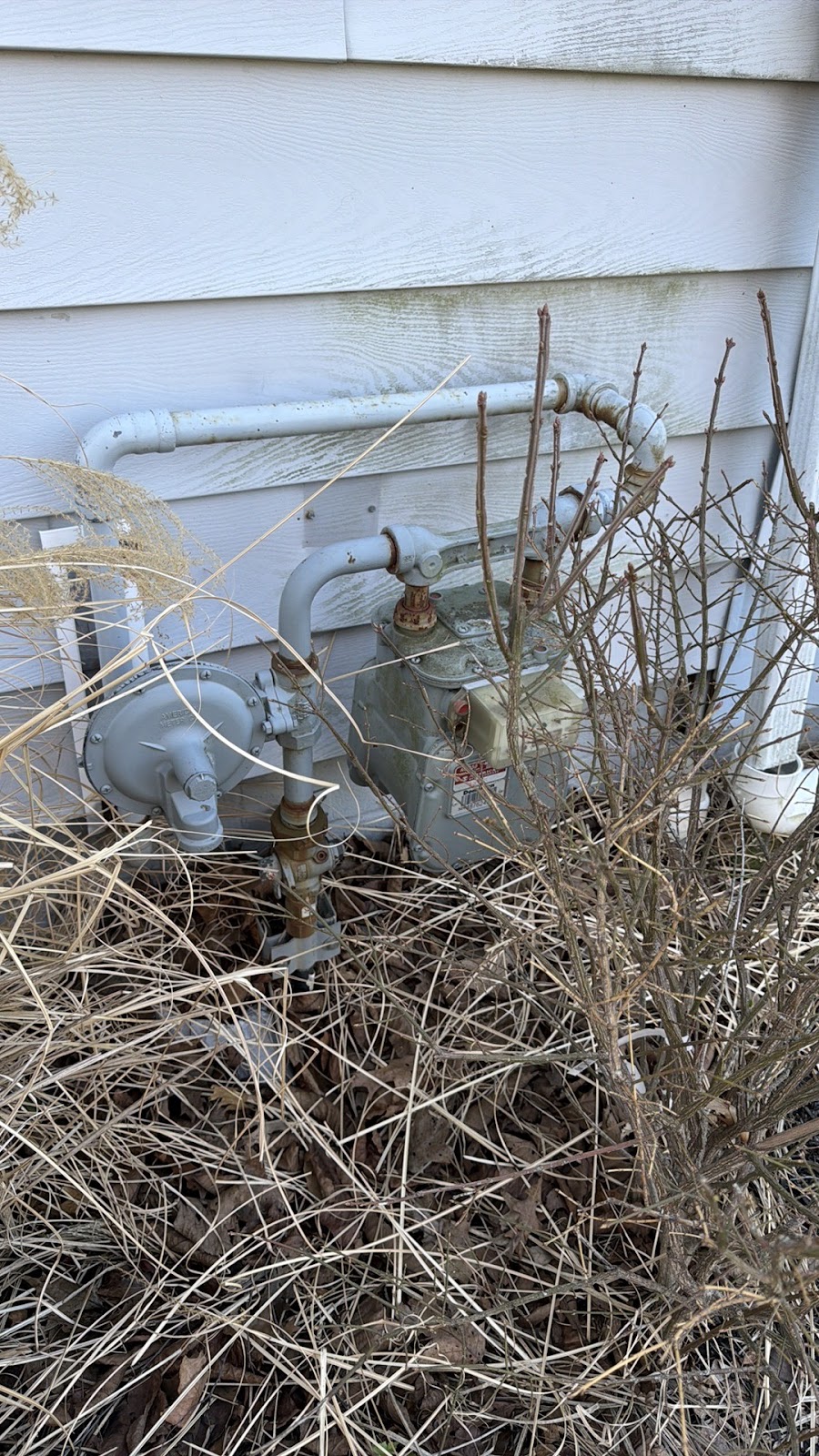 Copy of IMG_2026-03-12_16-50-27_990.jpg