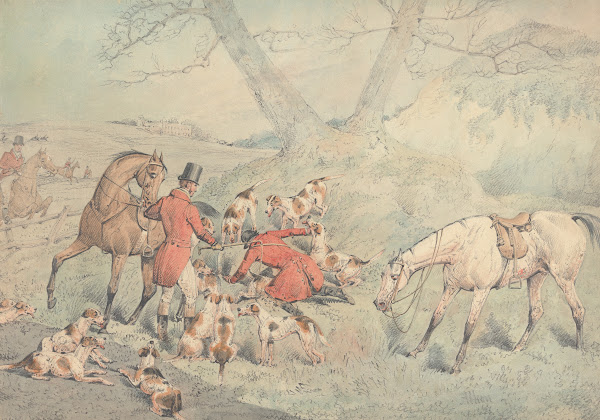 Foxhunting Gone to Ground