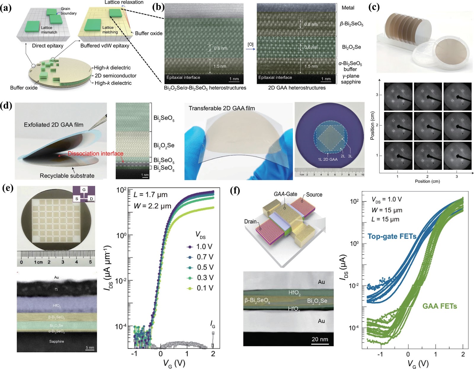 A Transferable Route to Two-Dimensional Gate-All-Around Electronics