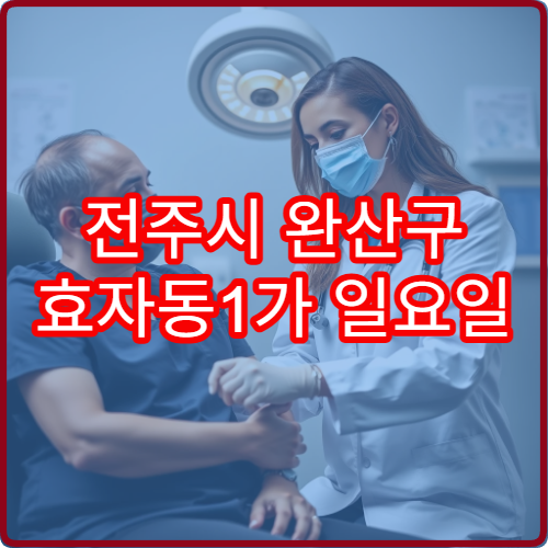 전주시 완산구 효자동1가 일요일 진료 정신건강의학과 불안 우울 상담