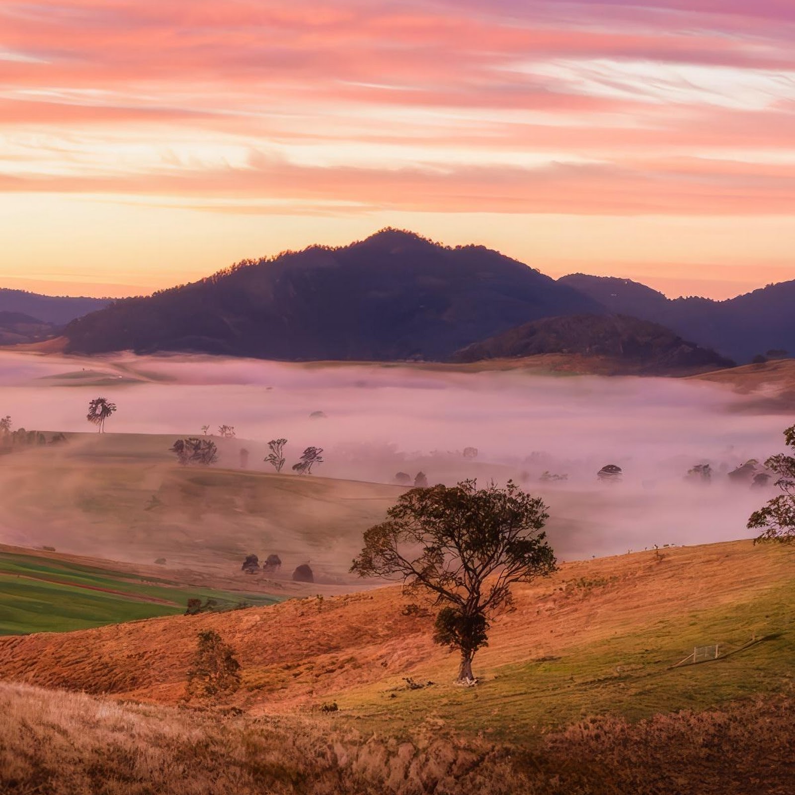Download Foggy Valley At Sunset Full HD iPhone
