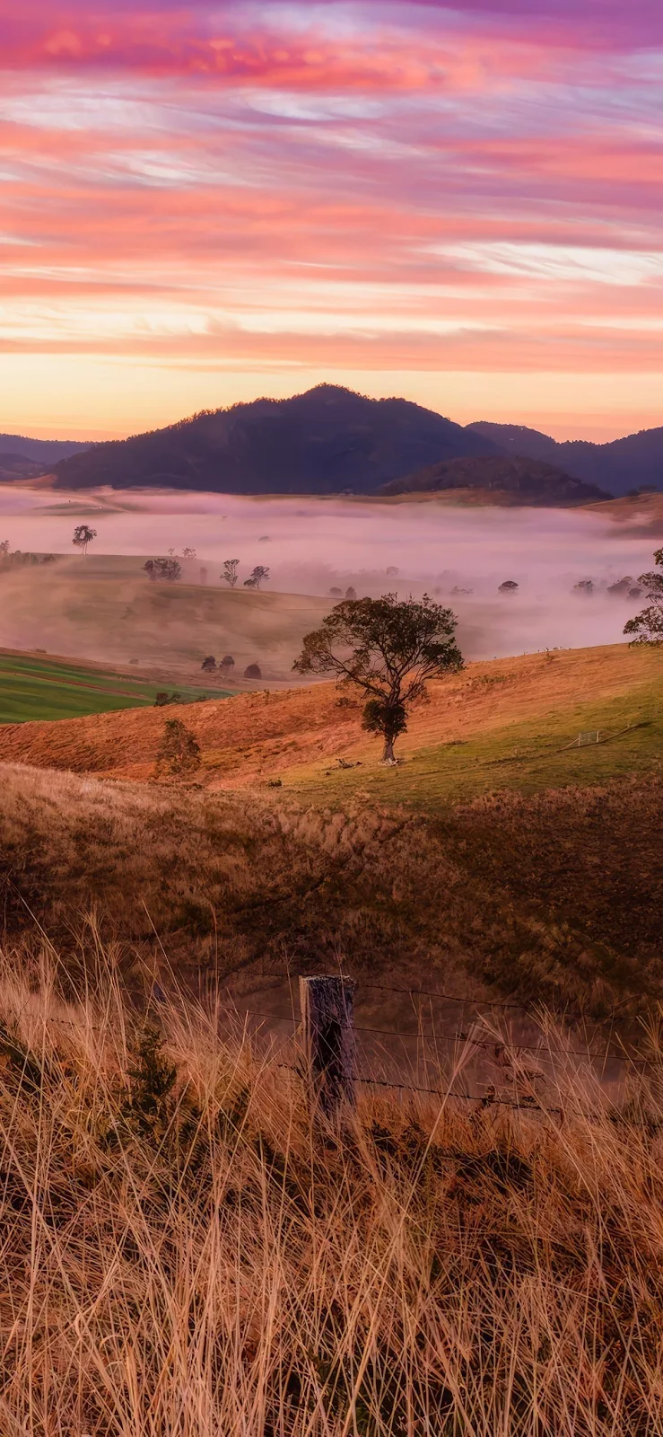 Foggy Valley At Sunset - Nature Photography Full HD iPhone Wallpaper (1201x2602)