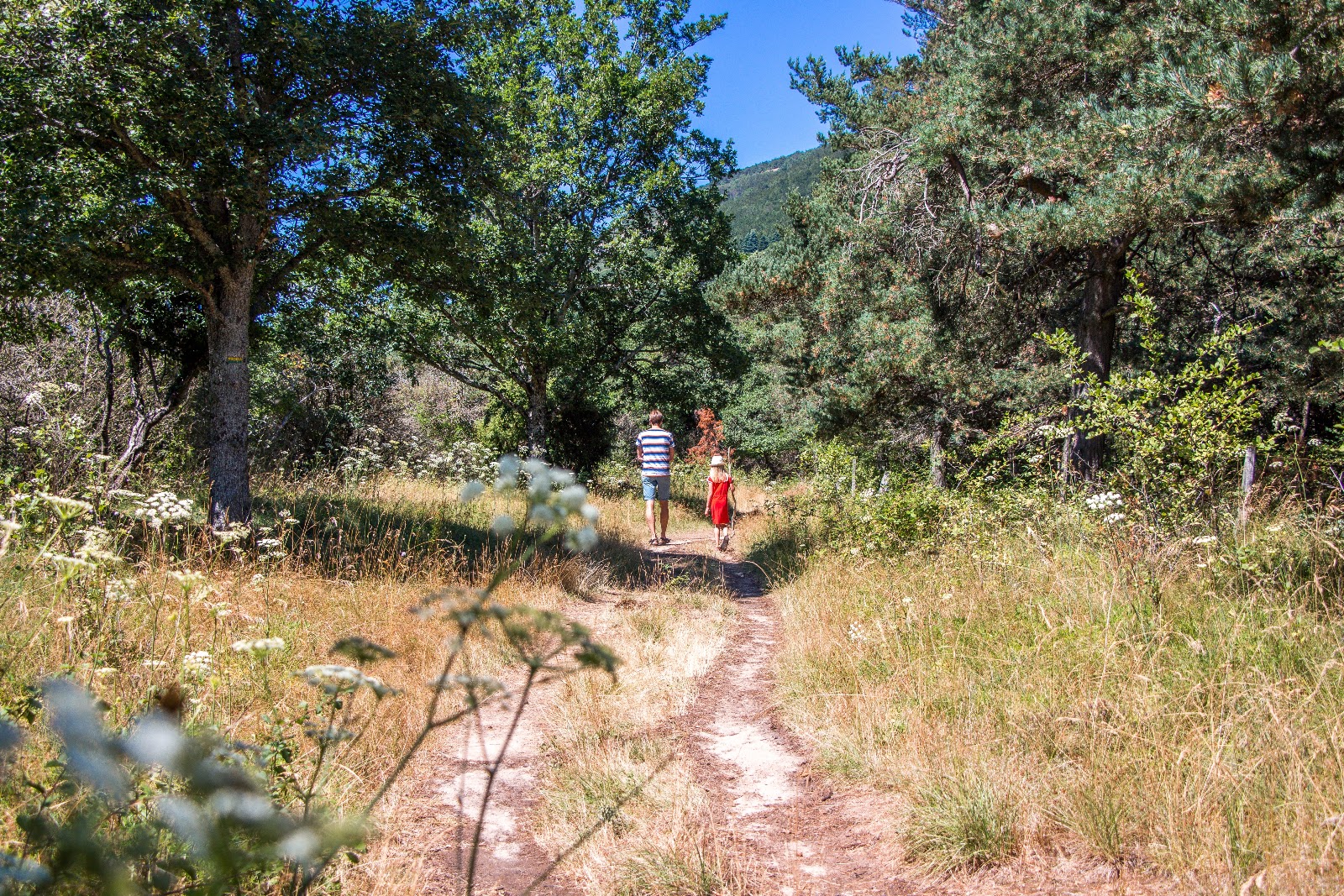 Given the benefits of spending time in nature both for the children and the environment, society should step up efforts to make sure nature is central in children’s lives and education. Children time spent nature, children development through nature. CarbonEthics Indonesia