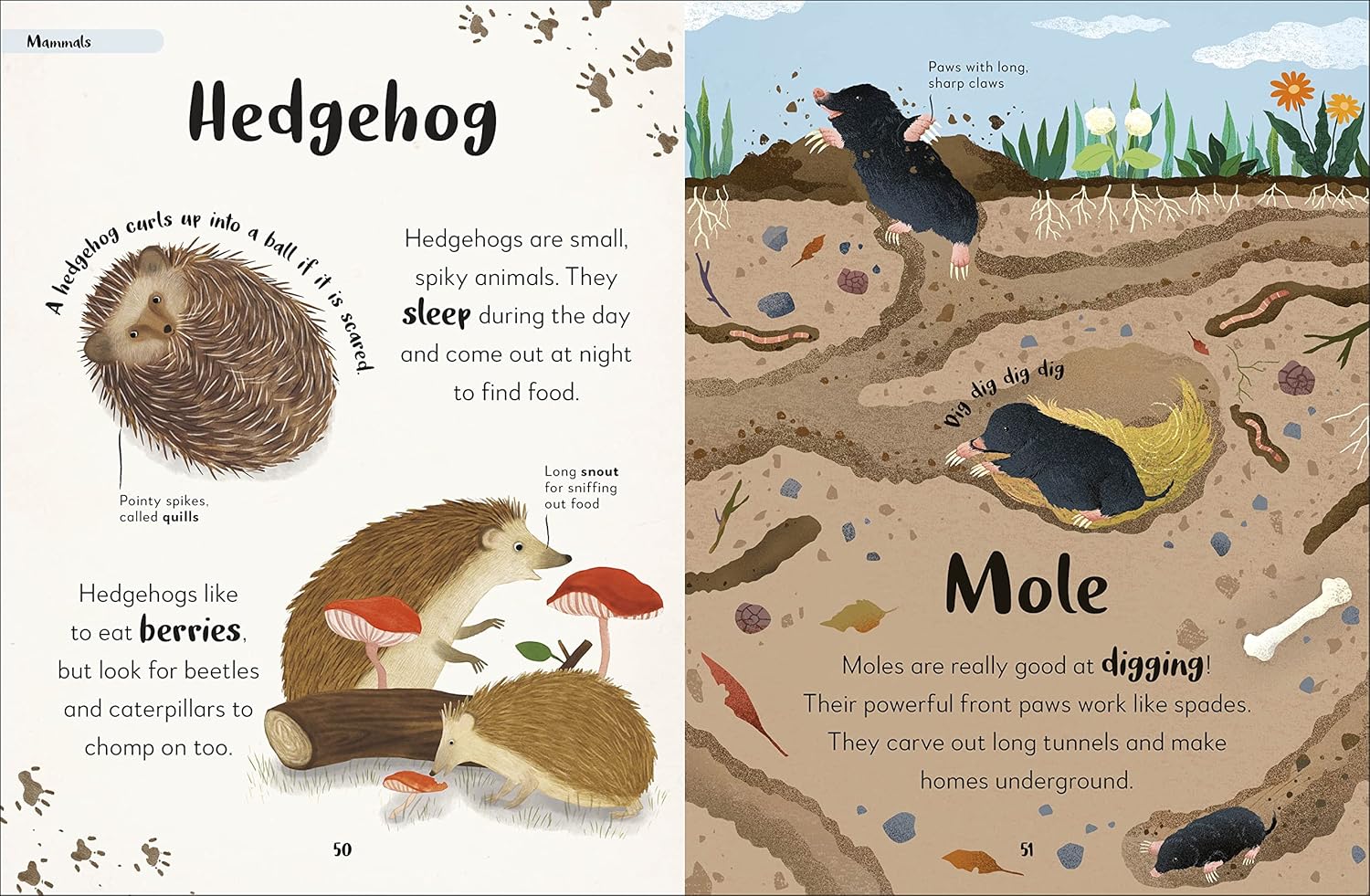 The Bedtime Book of Animals - thumbnail 2