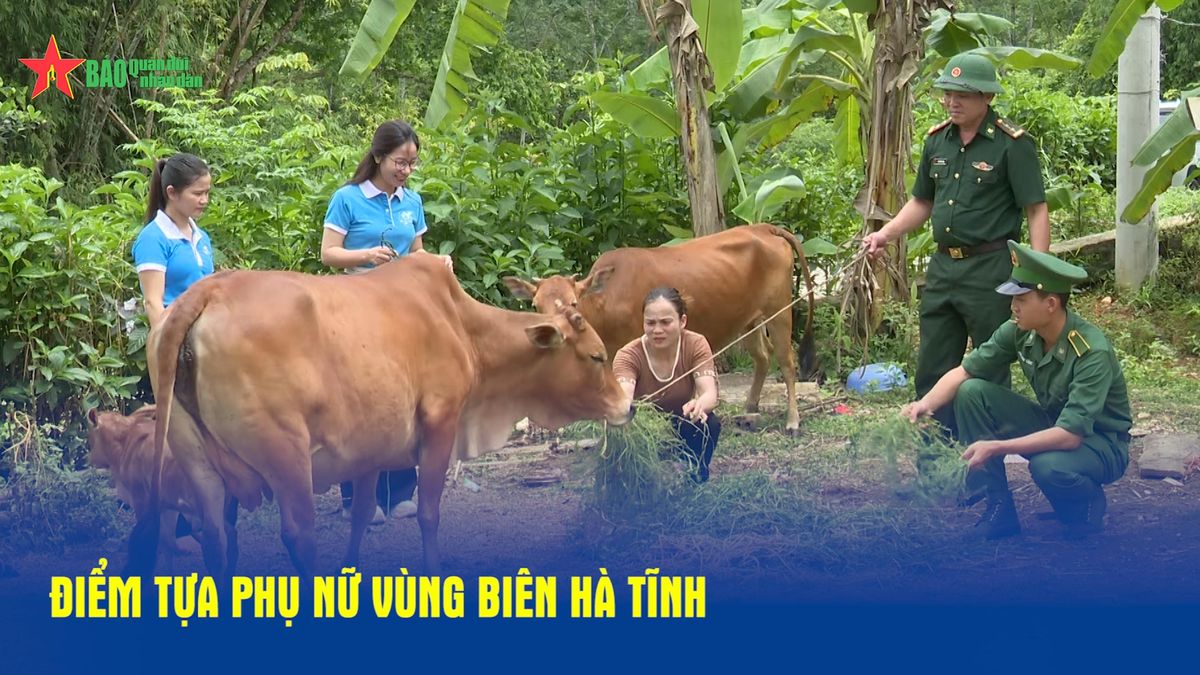 Điểm tựa phụ nữ vùng biên Hà Tĩnh - Báo Quân Đội Nhân Dân