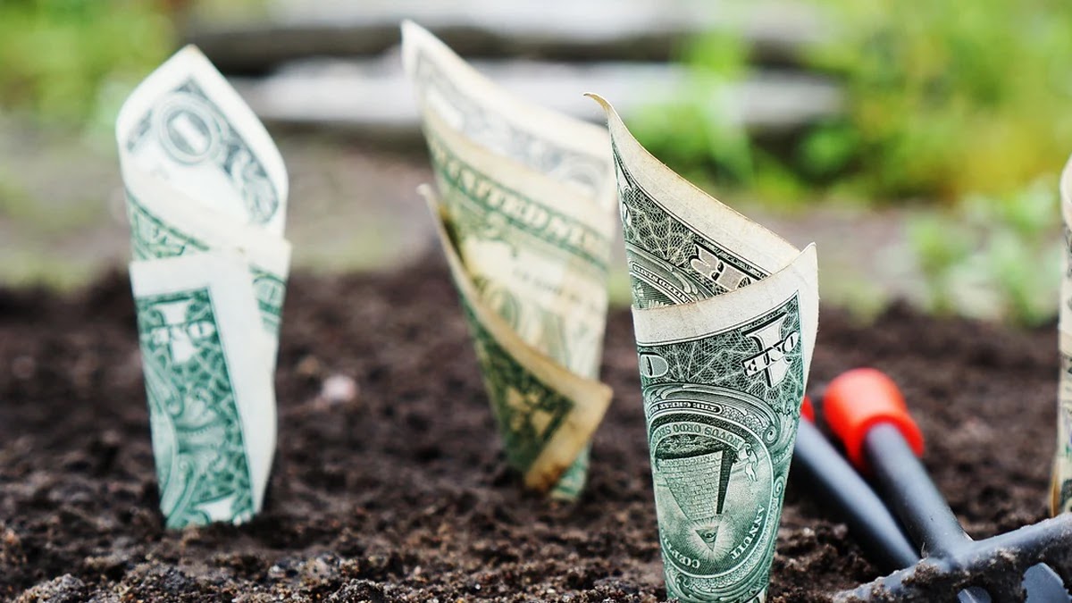 파킹통장 조건별 금리 비교와 활용 전략