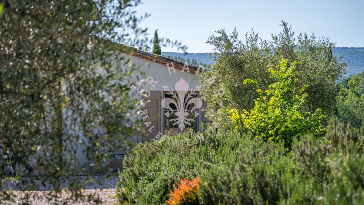קזאלה מורצ'לה (Casale Morcella) — 36