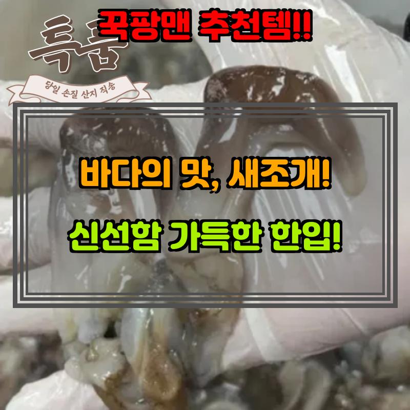 2월 9일, N쇼핑 검색 TOP 5, 새조개 베스트 5