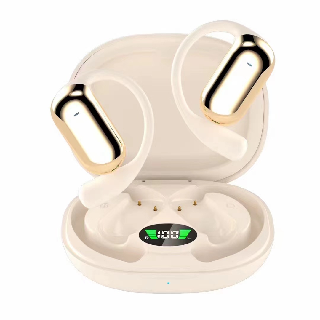 Bluetooth hanging earphones with voice control