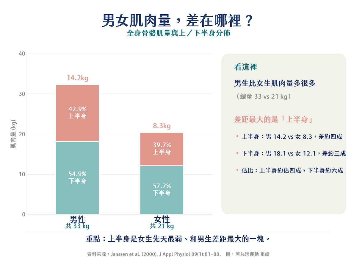 男女骨骼肌量與上下半身分佈長條圖：男性33公斤、女性21公斤，上半身差距約四成