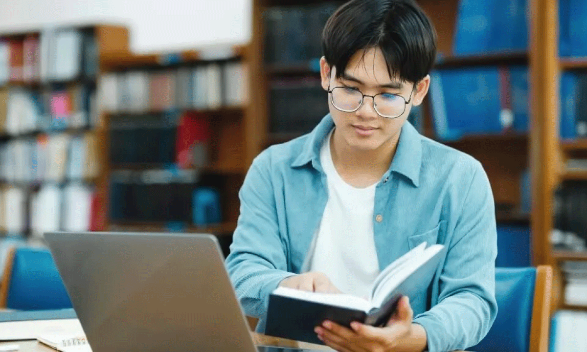 Formación internacional en administración: cómo los programas globales potencian la empleabilidad en España