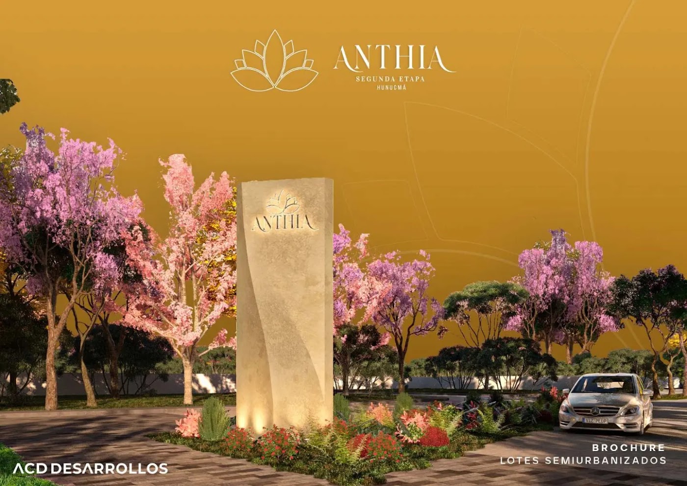 Anthia – photo 1