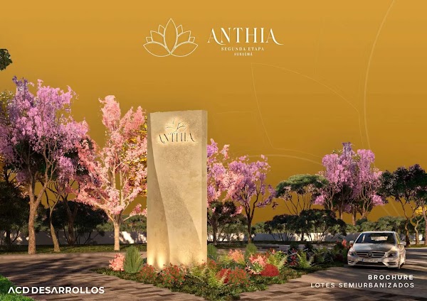 Anthia