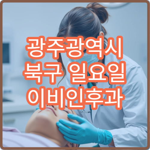 광주광역시 북구 일요일 이비인후과 주말 진료 정보