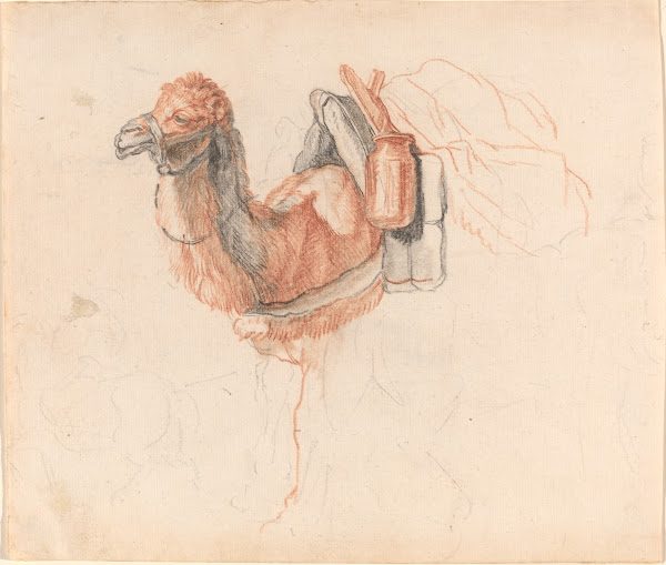 Camel 1770s